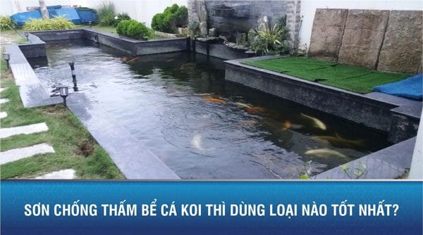 Sơn chống thấm bể cá koi thì dùng loại nào tốt nhất?